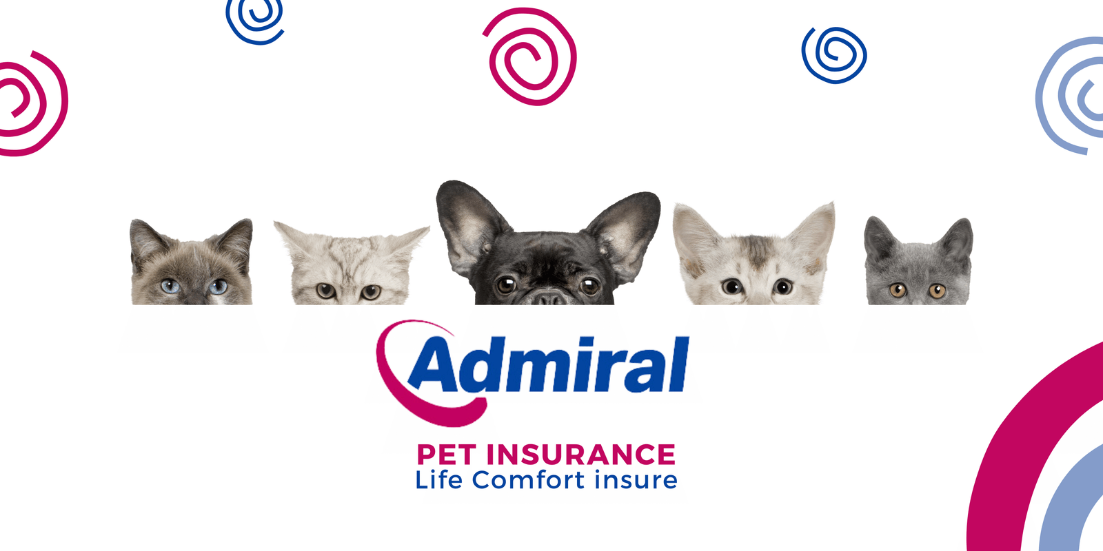 Admiral pet insurance