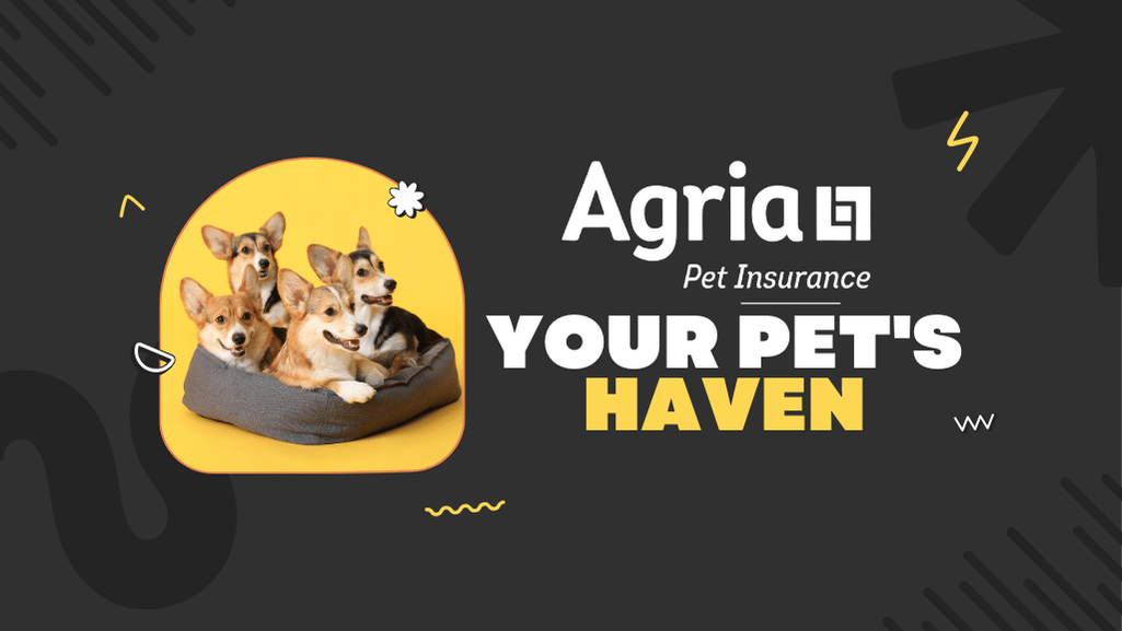 Agria Pet Insurance